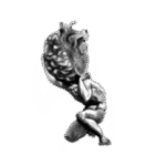 logo-kinesiologiaatlas